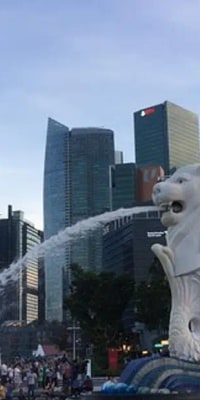 Singapore Half Day Private Tour